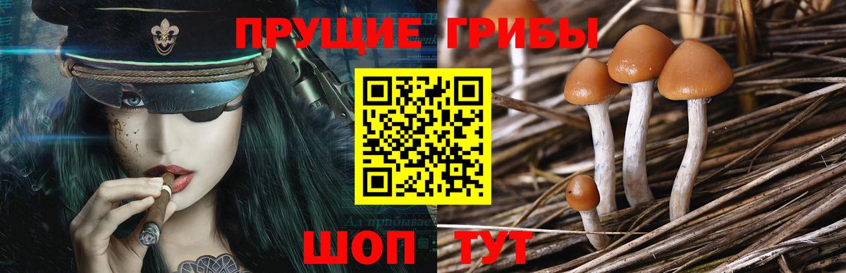 Галлюциногенные грибы мухоморы Барабинск
