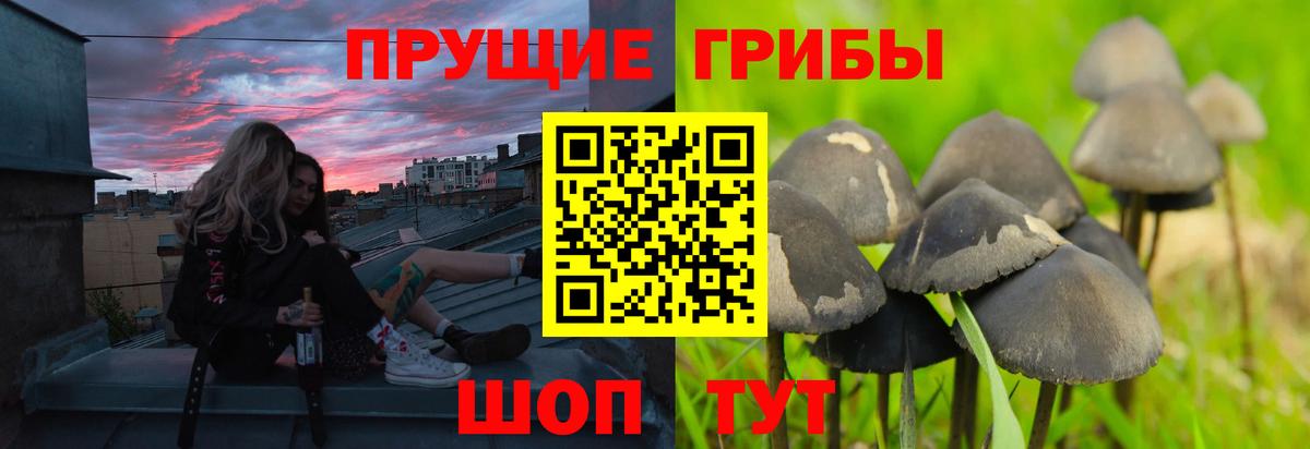 Галлюциногенные грибы мицелий  дарнет шоп  Галлюциногенные грибы Cubensis  Барабинск  Вход с VPN 